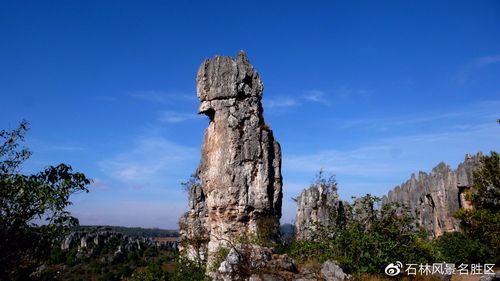 四、巴山石林景区