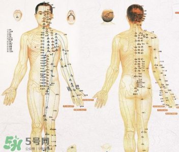 ​贴三伏贴可以吃西瓜吗？贴三伏贴吃西瓜有什么害处