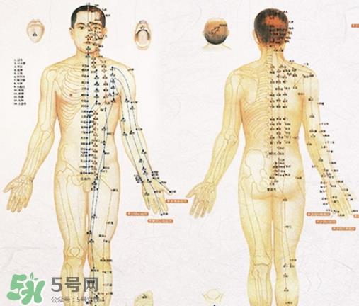 贴三伏贴可以吃西瓜吗？贴三伏贴吃西瓜有什么害处