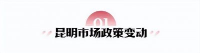 ​“商改住”行不通了，“商改租”可以吗？