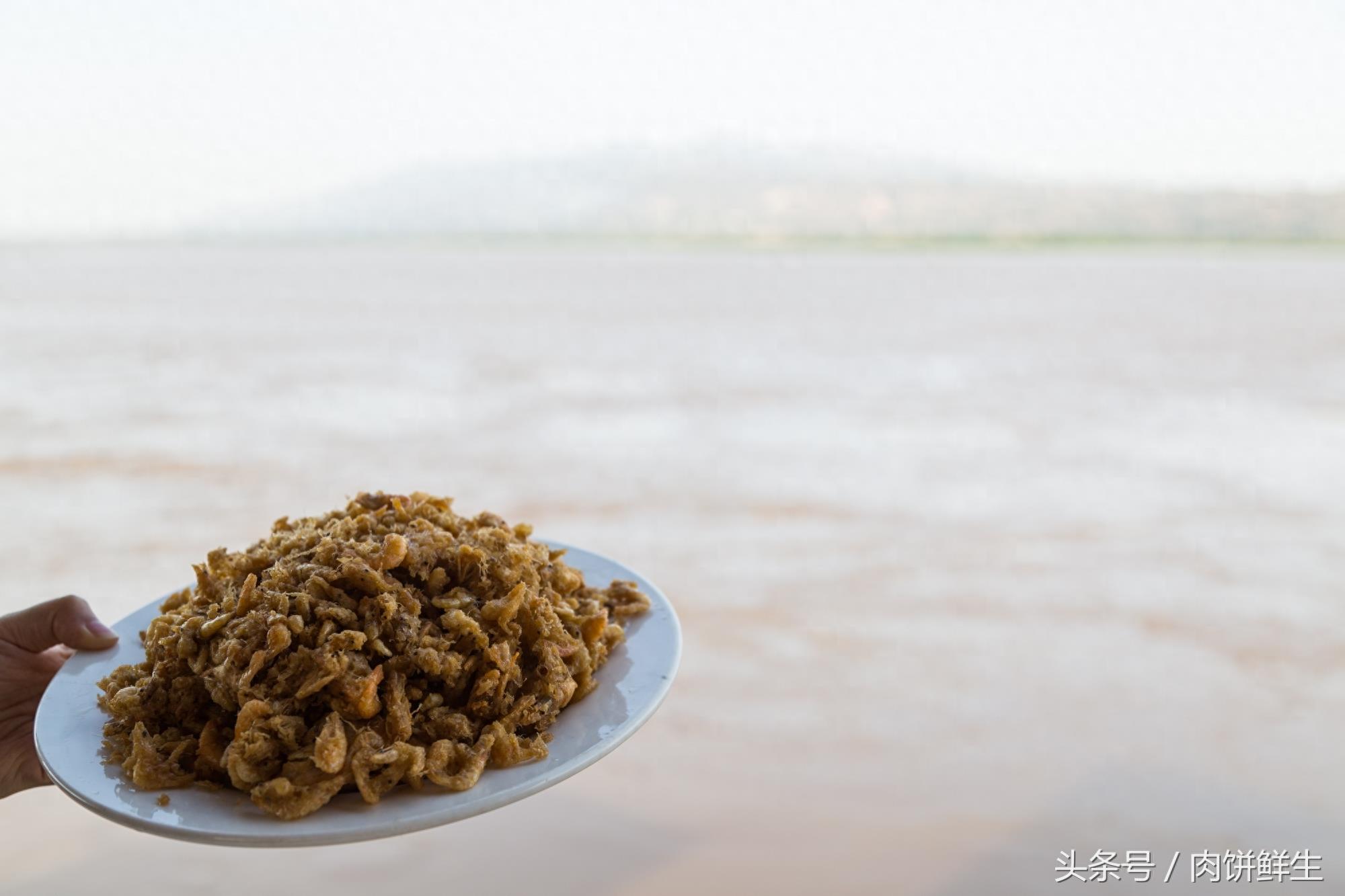 陕西大荔黄河边坐船上吃美食 老板教你分辨黄河鲤鱼与普通鲤鱼