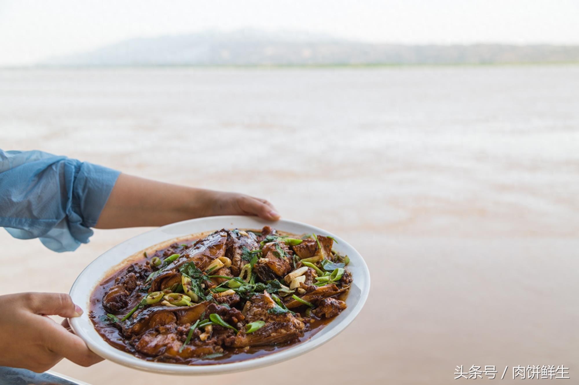 陕西大荔黄河边坐船上吃美食 老板教你分辨黄河鲤鱼与普通鲤鱼