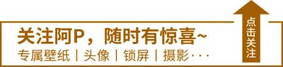 ​壁纸~322期丨白色背景文字锁屏壁纸