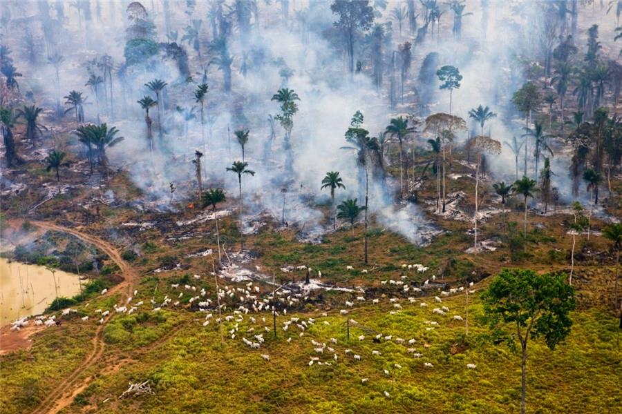 直击：人类毁灭地球的10张震撼照