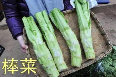 ​棒菜，别错认作成了莴笋