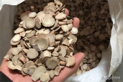 ​9月6日中药材市场快讯：白芍、连翘、蛤蚧、五味子、草蔻、独脚柑