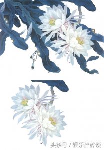 ​诗词是一朵情花，写于纸上，开在心田