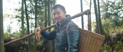 ​农村四哥为什么这么火，三农资讯朴实真诚，才是共鸣的起点