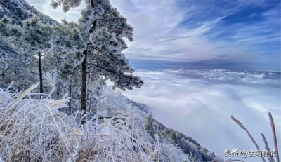​美绝！岳阳天岳幕阜山雾凇雪景实景