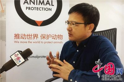 ​世界动物保护协会：保护动物 中国走在前列