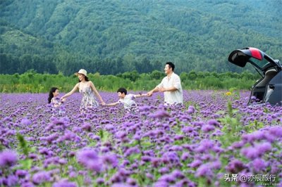 ​太原十大避暑旅游景点，夏天旅游凉快的地方，周边一日游好去处
