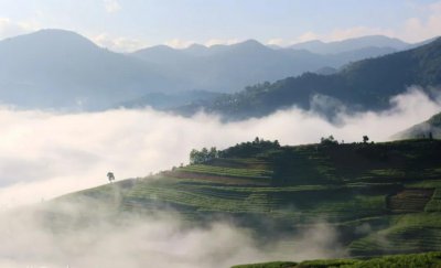 ​诗词鉴赏丨《诏问山中何所有赋诗以答》· 梁 · 陶弘景