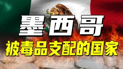 ​墨西哥毒枭：拥兵10万战力堪比特种部队，公然枪杀市长与军队叫板
