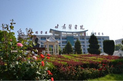 ​建议：推动甘肃医学院升格为甘肃医科大学，甘肃省要有这个觉悟