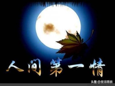 ​天下第一情是什么