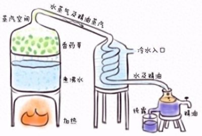 ​自己做的纯露应该更放心，为什么还是不建议自己做？