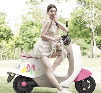 ​爱玛雅迪绿能买哪个（能上绿牌的电动车有哪几款）