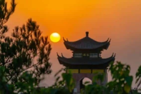 -九月九重阳节插茱萸讲究三插三不插（插茱萸是什么意思）