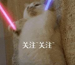 比熊犬好饲养吗(比熊犬的优缺点有哪些)