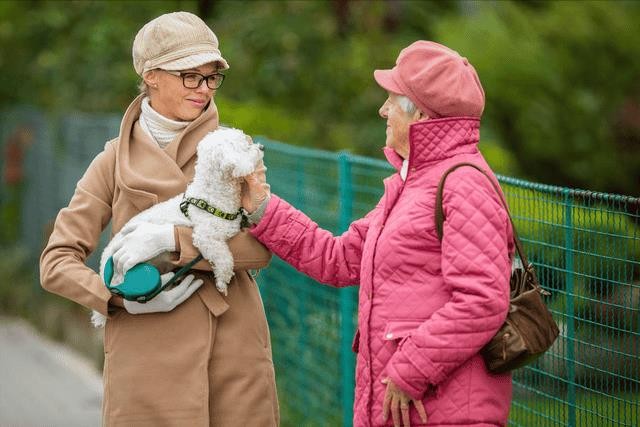 比熊犬好饲养吗(比熊犬的优缺点有哪些)