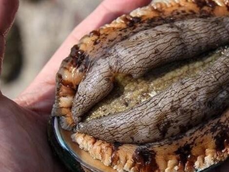 你还知道福建的哪些特产呢（福建特产前十名排行榜）