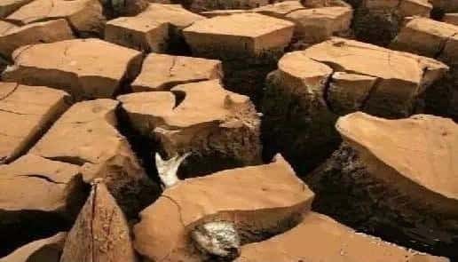 鱼在水里会淹死吗-（鱼会被淹死吗为什么）