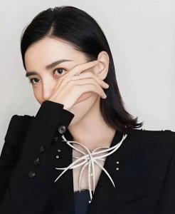 ​大导演张黎为啥对小宋佳情有独钟？早年颜值竟然这么炸裂！