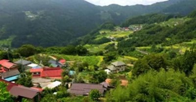 ​未来农村十大挣钱行业，如果你正在做，那就恭喜了！