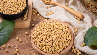 ​纳豆激酶的功效与作用 纳豆激酶有什么用