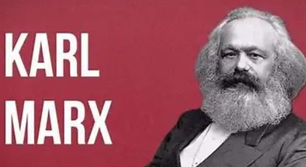 马基是什么,马基鱼是什么鱼图3