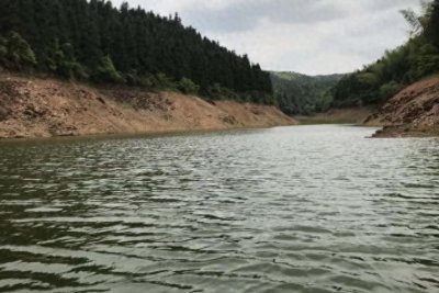 ​水库养鱼，掌握好科学合理的养殖方式，提高经济效益