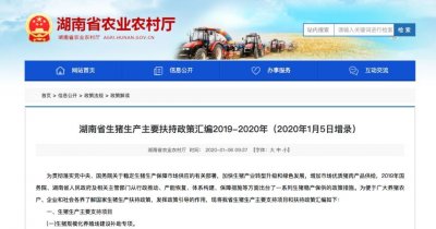 ​2020年七大生猪补贴如何拿？具体标准和申报流程看这里