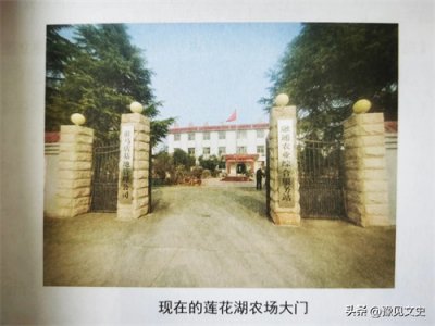 ​【遂平记忆】李敏•莲花湖•一高