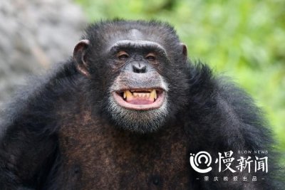 ​看见｜今天是世界微笑日，看看这些图片笑一下吧！