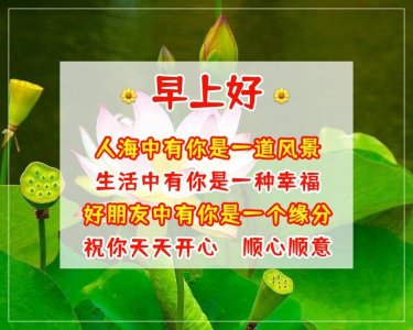 ​早晨好问候带字图片早安心语 清晨暖心早上好图片带祝福语