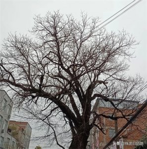 ​推荐书荒必备的耽美主受年代文小说