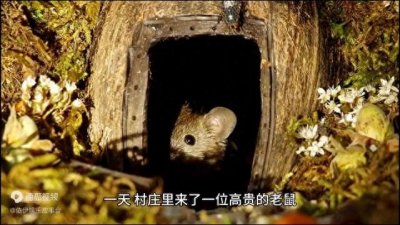 ​【原创】《鼠嫁女儿》