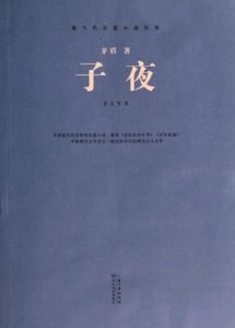 ​读近代的小说，看当代的中国——《子夜》