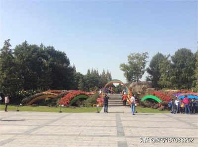 ​上海之植物园