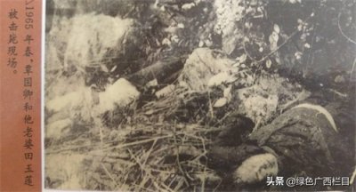 ​湘西末匪之子“蓬佩奥”究竟是谁？