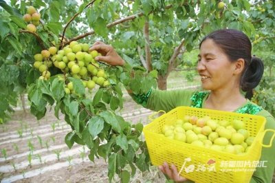 ​走进县城看发展·数字的奥秘丨库车：十