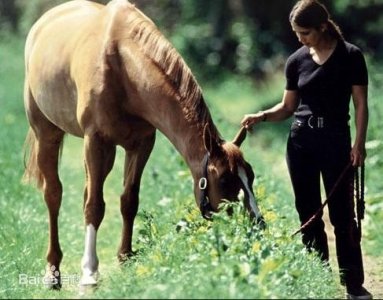 ​约旦公主之哈雅公主