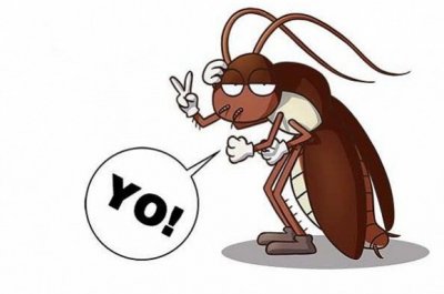 ​涨知识！为啥不能直接踩死蟑螂？原因竟是避免更多的“小强”降生