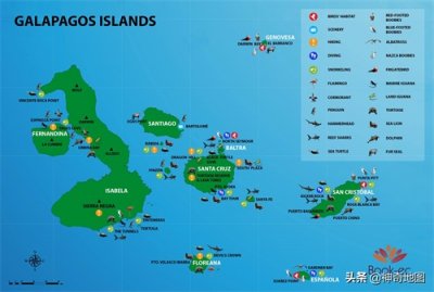 ​乱谈岛屿（54）加拉帕戈斯(Galapagos)赤道上的企鹅乐园