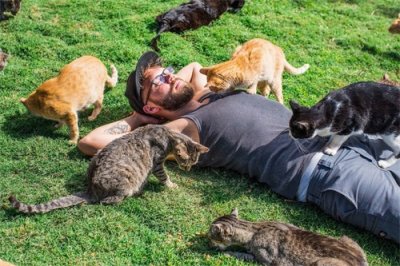 ​什么是吸猫？铲屎官仅仅只是吸了个寂寞吗？进来边吸边聊吧