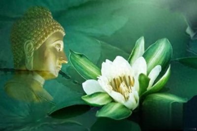 ​以身为渡：尸毗王化解生死困局