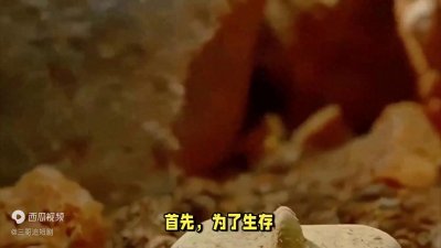 ​人们辛苦劳累一辈子，究竟是为了什么？