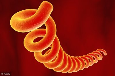 ​梅毒会全身起红点吗？如何判断身上起的小红点是否是梅毒呢？