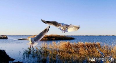 ​人死如灯灭，为什么要说“归西、驾鹤西游”？