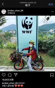 ​半只脚已迈进向家的应采儿，为何转身嫁给陈小春？